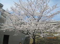 r2016.4.15 2.jpg